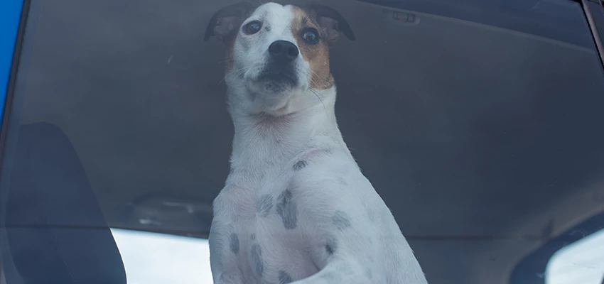 Car Lockout Solutions in Lake Elsinore, California